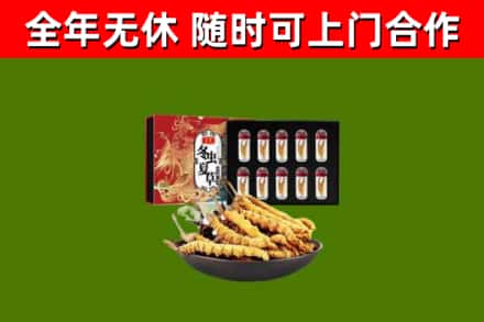 上海烟酒回收冬虫夏草礼盒.jpg